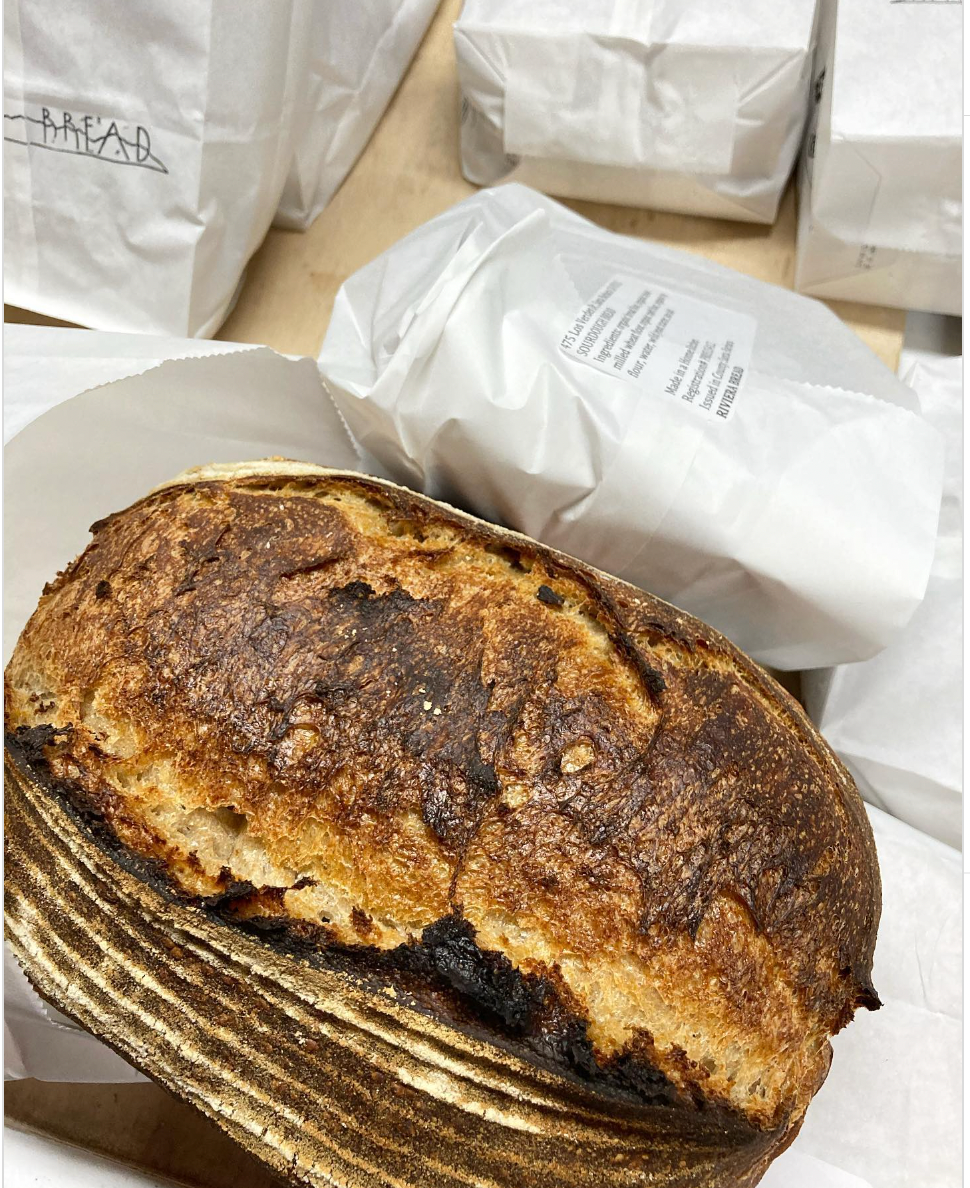 Olive Rosemary Sourdough Loaf