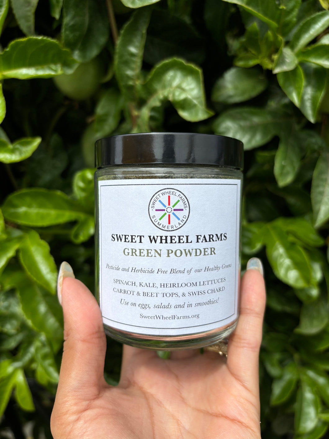 Sweet Wheel Farms Green Powder