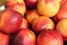 Nectarines