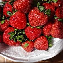 Load image into Gallery viewer, Strawberries
